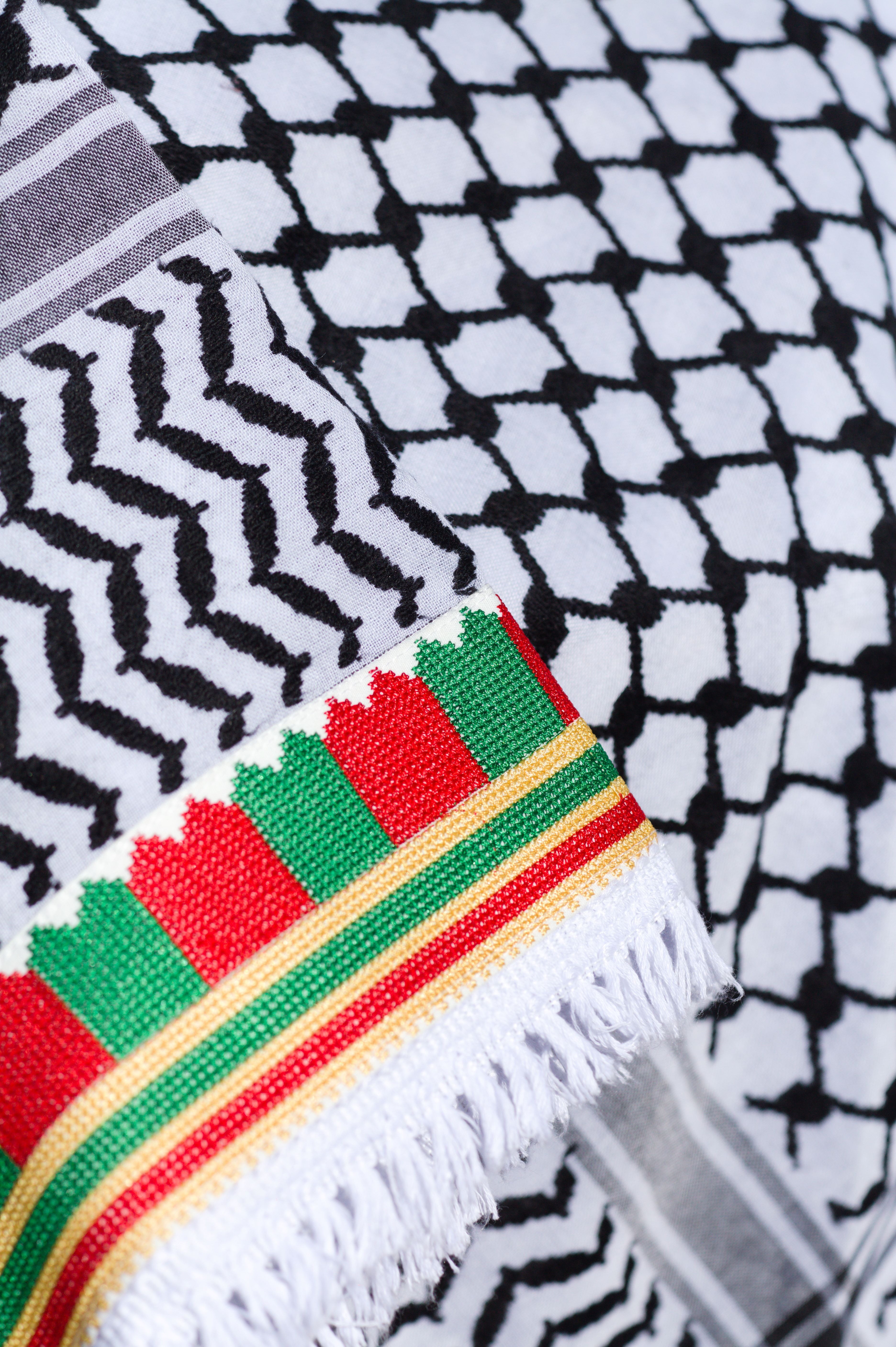 Keffieh blanc et noir brodé vert, rouge et doré – Bordure tricolore